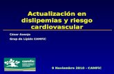 Actualización en dislipemias y riesgo cardiovascular 9 Noviembre 2010 - CAMFiC César Asenjo Grup de Lípids CAMFiC.