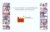 “LA CULTURA Y LOS PUEBLOS INDIGENAS DE MEXICO” LOS PUEBLOS Y COMUNIDADES INDIGENAS TIENEN LAS SIGUIENTES CARACTERISTICAS: Capital social y cultural,