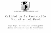 Calidad de la Protección Social en el Perú Hugo Ñopo. Economista Investigador Banco Interamericano de Desarrollo Inter-American Development Bank.