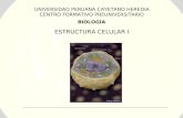 BIOLOGÍA ESTRUCTURA CELULAR I UNIVERSIDAD PERUANA CAYETANO HEREDIA CENTRO FORMATIVO PREUNIVERSITARIO.