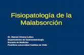 Fisiopatología de la Malabsorción Dr. Manuel Alvarez Lobos Departamento de Gastroenterología Escuela de Medicina Pontificia universidad Católica de Chile.