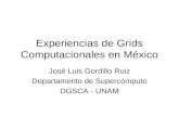 Experiencias de Grids Computacionales en México José Luis Gordillo Ruiz Departamento de Supercómputo DGSCA - UNAM.