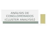 ANÁLISIS DE CONGLOMERADOS (CLUSTER ANALYSIS ). AGRUPAMIENTOS Claudia Jiménez R.