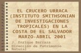 EL CRUCERO URRACA (INSTITUTO SMITHSONIAN DE INVESTIGACIONES TROPICALES) EN LA COSTA DE EL SALVADOR MARZO-ABRIL 2001 J. Enrique Barraza Dirección de Patrimonio.