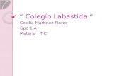 “ Colegio Labastida “ Cecilia Martinez Flores Gpo 1.A Materia : TIC.