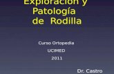 Exploración y Patología de Rodilla Curso Ortopedia UCIMED 2011 Dr. Castro Artavia.