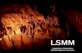 LSMM Laboratorio Subterráneo Multidisciplinario Mexicano.