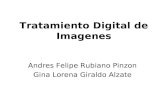 Tratamiento Digital de Imagenes Andres Felipe Rubiano Pinzon Gina Lorena Giraldo Alzate.