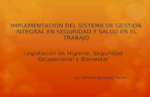 Legislación de Higiene, Seguridad Ocupacional y Bienestar Lic. Antonio Quisbert Torres IMPLEMENTACION DEL SISTEMA DE GESTION INTEGRAL EN SEGURIDAD Y SALUD.