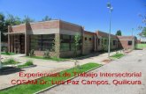 Experiencias de Trabajo Intersectorial COSAM Dr. Luis Paz Campos, Quilicura.