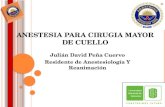 ANESTESIA PARA CIRUGIA MAYOR DE CUELLO Julián David Peña Cuervo Residente de Anestesiología Y Reanimación.
