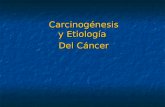 Carcinogénesis y Etiología Del Cáncer. ¿QUE CAUSA LAS ALTERACIONES CELULARES QUE CONDUCEN AL CANCER? Factores ambientales Factores genéticos EL CANCER.
