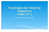 Fisiología del Sistema Digestivo clase nº 1 Patricia Sanhueza Acevedo.