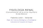FISIOLOGÍA RENAL (Concentración de la orina, Equilibrio Acido- Básico) Fabiola León – Velarde Dpto. de Ciencias Biológicas y Fisiológicas Laboratorio de.