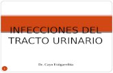 1 INFECCIONES DEL TRACTO URINARIO Dr. Cayo Estigarribia.