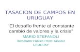 TASACION DE CAMPOS EN URUGUAY “El desafío frente al constante cambio de valores y la crisis” MARIO STEFANOLI Rematador Público-Perito Tasador URUGUAY.