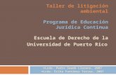 Taller de litigación ambiental Programa de Educación Jurídica Continua Escuela de Derecho de la Universidad de Puerto Rico ©Lcdo. Pedro Saadé Llorens,