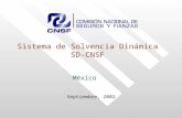 Sistema de Solvencia Dinámica SD-CNSF México Septiembre, 2002.