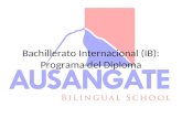 Bachillerato Internacional (IB): Programa del Diploma.