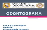ODONTOGRAMA C.D. Katia Luz Medina Calderón Estomatología Integrada I 2014.