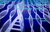 Alonso Gracia Montes 195302.  Genes  Expresión genética  Transcripción  Traducción  Proteínas  Mutación  Tipos de mutación.