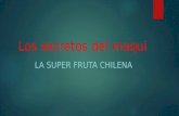 Los secretos del maqui LA SUPER FRUTA CHILENA. Introduccion: descubierta fortuita del jugo de maqui en la isla Huapi, lago Ranco.