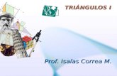 TRIÁNGULOS I Prof. Isaías Correa M.. Identificar los elementos primarios de un triángulo y sus propiedades. Reconocer los elementos secundarios de un.