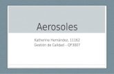 Aerosoles Katherine Hernández, 11162 Gestión de Calidad – QF3007.