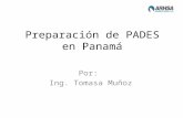 Preparación de PADES en Panamá Por: Ing. Tomasa Muñoz.