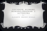 COCIENTE, NUMERO ROMANO,ORDENAR Y AUTOSUMA ELIZABETH BRIONES BONILLA.