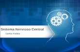 Sistema Nervioso Central Carlos Fiallos. El Sistema nervioso está conformado por un conjunto de órganos encargados de ejercer el control de todo el organismo.