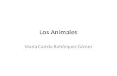 Los Animales María Camila Bohórquez Gómez. Las Aves Las aves son animales vertebrados,de sangre caliente, que caminan saltando,o se mantiene solo sobre.