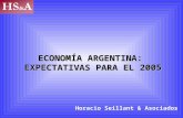 Flavia L. Cebrián ECONOMÍA ARGENTINA: EXPECTATIVAS PARA EL 2005 Horacio Seillant & Asociados.