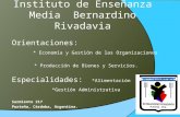 Instituto de Enseñanza Media Bernardino Rivadavia Orientaciones: * Economía y Gestión de las Organizaciones * Producción de Bienes y Servicios. Especialidades: