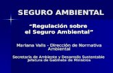 SEGURO AMBIENTAL “ Regulación sobre el Seguro Ambiental” Mariana Valls - Dirección de Normativa Ambiental Secretaría de Ambiente y Desarrollo Sustentable.