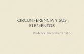 CIRCUNFERENCIA Y SUS ELEMENTOS Profesor: Ricardo Carrillo.