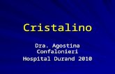 Cristalino Dra. Agostina Confalonieri Hospital Durand 2010.