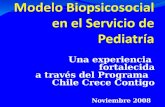 Una experiencia fortalecida a través del Programa Chile Crece Contigo Noviembre 2008.