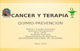 CANCER Y TERAPIA QUIMIO-PREVENCION Milton J. Crosby Granados Químico Farmacéutico M.Sc. /PhD. Profesor Asociado Departamento de Farmacia UNIVERSIDAD NACIONAL.