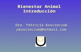 Bienestar Animal Introducción Dra. Patricia Koscinczuk pkoscinczuk@hotmail.com.