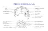 INFECCIONES DEL S. N. C.. SÍNDROMES CLÍNICOS MENINGITIS INFECCIOSA –Aguda –Subaguda –Crónica ENCEFALITIS INFECCIONES FOCALES: Abscesos cerebrales.
