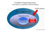 Cambio Organizacional Concepto y Aspectos Elementales Prof. Jorge Rubinsztein.