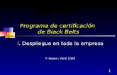 1 Programa de certificación de Black Belts I. Despliegue en toda la empresa P. Reyes / Abril 2009.