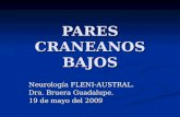 PARES CRANEANOS BAJOS Neurología FLENI-AUSTRAL. Dra. Bruera Guadalupe. 19 de mayo del 2009.