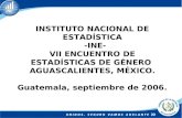INSTITUTO NACIONAL DE ESTADÍSTICA -INE- VII ENCUENTRO DE ESTADÍSTICAS DE GÉNERO AGUASCALIENTES, MÉXICO. Guatemala, septiembre de 2006.