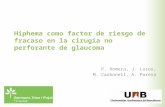 Hiphema como factor de riesgo de fracaso en la cirugía no perforante de glaucoma P. Romera, J. Losos, M. Carbonell, A. Parera.
