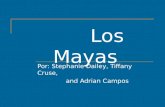Los Mayas Por: Stephanie Dailey, Tiffany Cruse, and Adrian Campos.