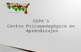 CEPA’S Centro Psicopedagógico en Aprendizajes  CEPA’S tiene como objetivo apoyar en las tareas escolares, logrando así aprendizajes significativos,