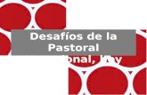 Desafíos de la Pastoral Vocacional, hoy. 1.Pastoral Vocacional… ¿otra vez? 2.¿Por qué tenemos que hacer PV? 3. ¿Cómo hacer hoy PV? sumario.