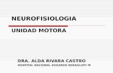 NEUROFISIOLOGIA UNIDAD MOTORA DRA. ALDA RIVARA CASTRO HOSPITAL NACIONAL EDGARDO REBAGLIATI M.